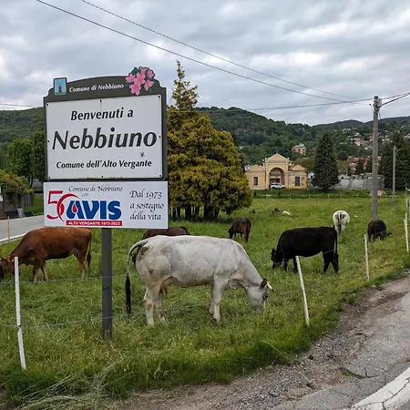 شقة Cav Casa Del Vecchio Faggio - 4 Stelle - Maggiore Nebbiuno
